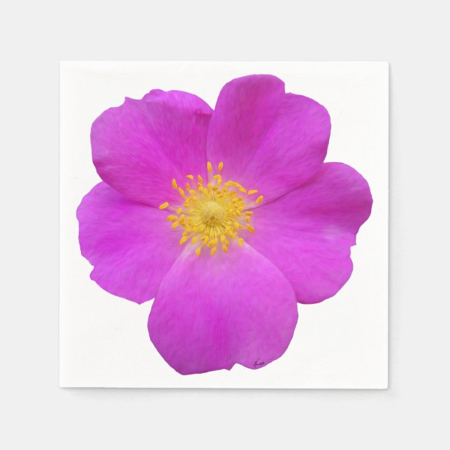 VILD RO 2 PAPPERSSERVETT (Framsidan)