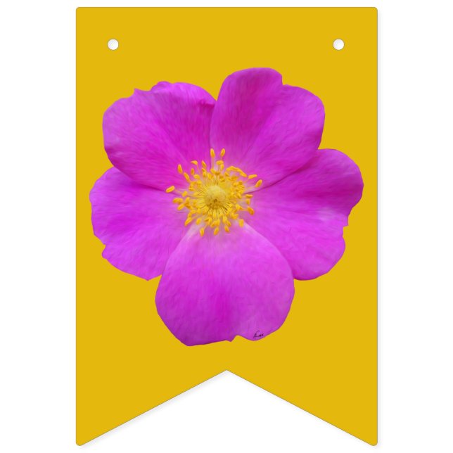 VILD RO 2 VIMPLAR (Första flaggan)