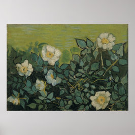 Vild Ro av Vincent van Gogh Poster