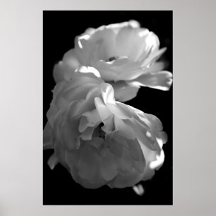 Vild Ro Black and White Floral Photography Poster
