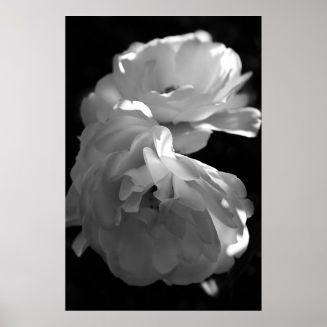 Vild Ro Black and White Floral Photography Poster (Framsidan)