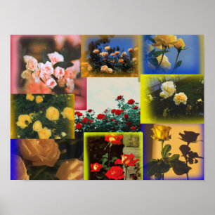 Vild Ro Collage Poster