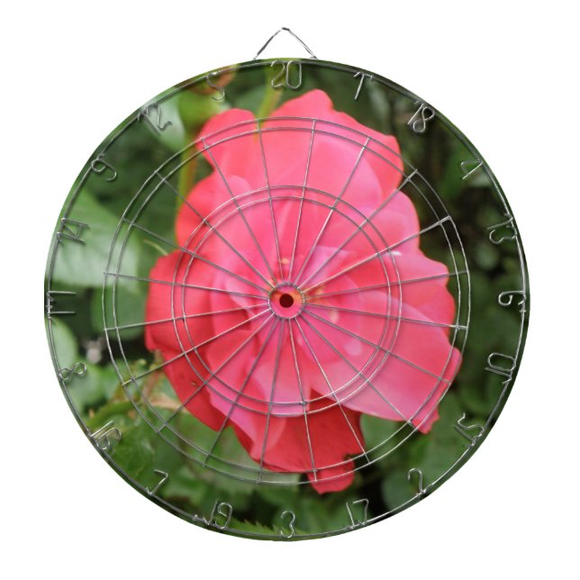 Vild Ro Dart Board Darttavla (Framsidan)