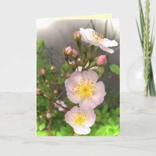 Vild Ro Flowers Tack Kort