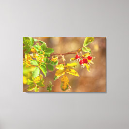 Vild Ro Frukt Canvastryck