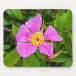 Vild Ro med Dew Drops Mousepad Musmatta