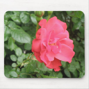 Vild Ro Mousepad Musmatta