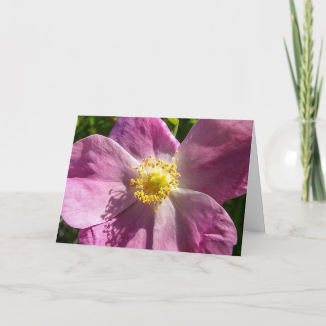 Vild Ro Notecard Kort (Framsida)