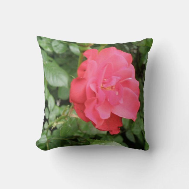 Vild Ro Pillow Kudde (Framsida)