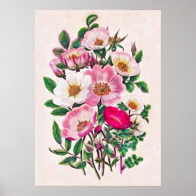 Vild Ro Poster (Framsidan)