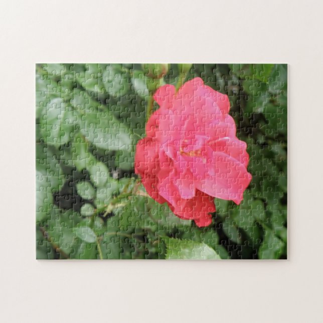 Vild Ro Puzzle Pussel (Horisontell)