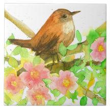 Vild Ro Rosa Flowers Botanical Wren Bird