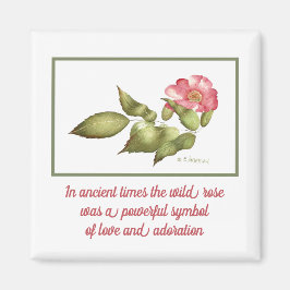 Vild ro rosa vattenfärgssymbol magnet