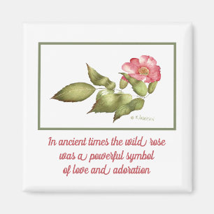 Vild ro rosa vattenfärgssymbol magnet