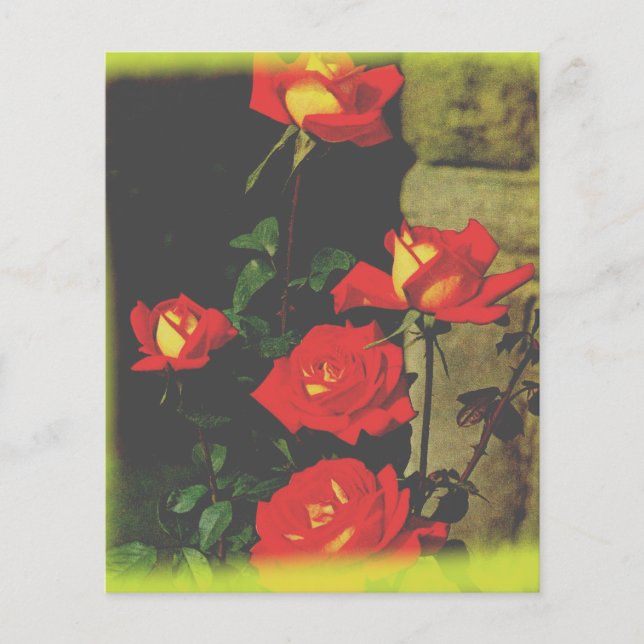 Vild Ro Stationär (Framsida)