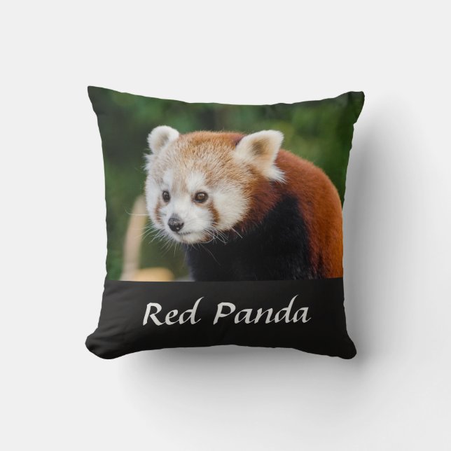 Vild röd panda naturfoto kudde (Framsida)