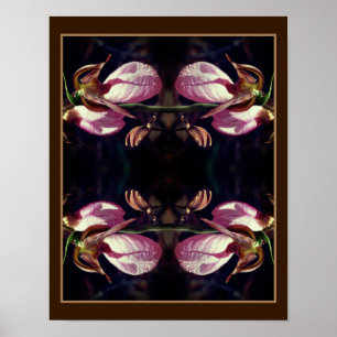 Vild Rosa Dam Slipper Orchid Pair Abstrakt Poster