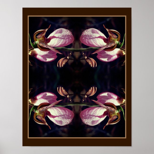 Vild Rosa Dam Slipper Orchid Pair Abstrakt Poster (Framsidan)