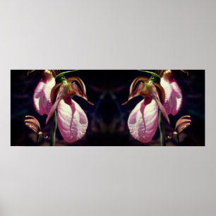 Vild Rosa Dam Slipper Orchid Pair Spegel Poster