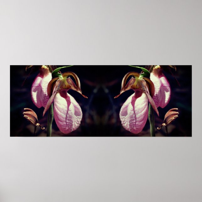 Vild Rosa Dam Slipper Orchid Pair Spegel Poster (Framsidan)