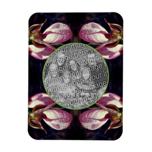 Vild Rosa Dam Slipper Orchid Ram Lägg till foto Magnet