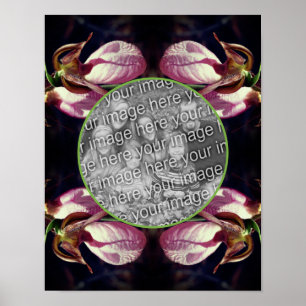 Vild Rosa Dam Slipper Orchid Ram Lägg till foto Poster