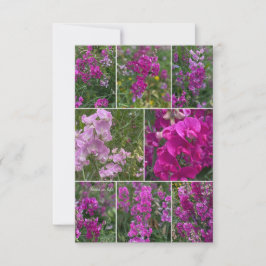 Vild Rosa Pea Collage Anteckningskort