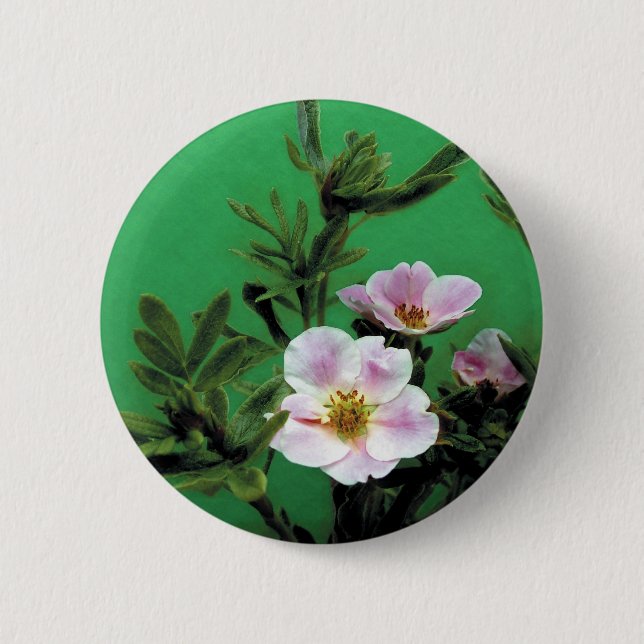 vild rosa ros blommor i grönt, Elegant Knapp (Framsida)