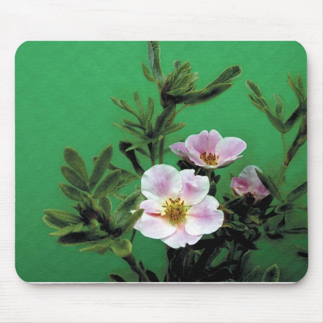 vild rosa ros blommor i grönt, Elegant Musmatta (Framsidan)