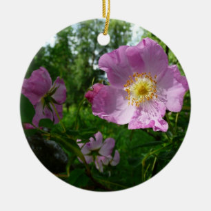 Vild Rosa ros i Alaska Julgransprydnad Keramik