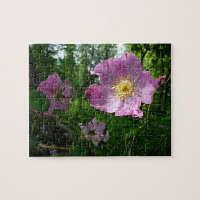 Vild Rosa ros i Alaska Pussel (Horisontell)