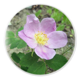 Vild Rosa Ros Keramisk Knopp