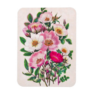 Vild Rosor Magnet
