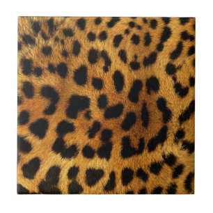 vild Safari animal cheetah girly leopard print Kakelplatta