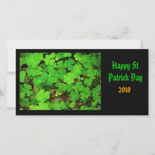 Vild Shamrocks