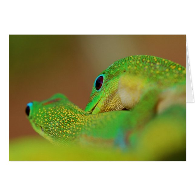 Vild Side Lighthearted Romantic Roligt OBS Kort (Framsidan Horizontal)