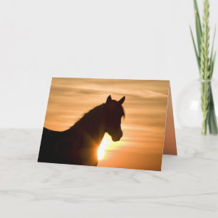 Vild Silhouette Vild Horse Greeting Card Kort