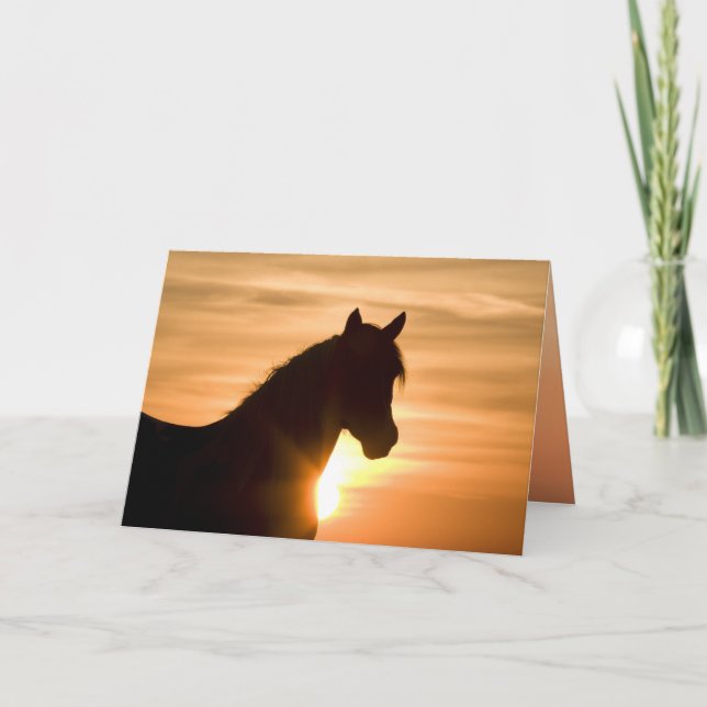 Vild Silhouette Vild Horse Greeting Card Kort (Framsida)