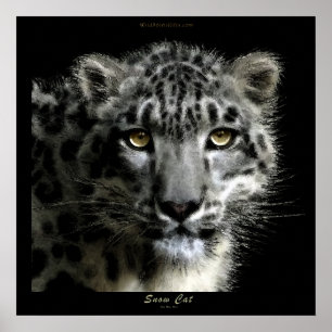 VILD SNÖ LEOPARD Art Print Poster