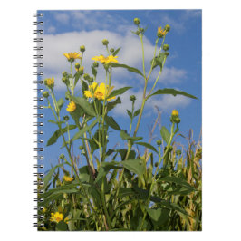 Vild Solblommor Blommigt Blomsterfotografi Anteckningsbok