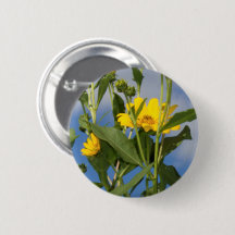 Vild Solblommor Blommigt Blomsterfotografi