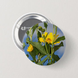 Vild Solblommor Blommigt Blomsterfotografi Knapp