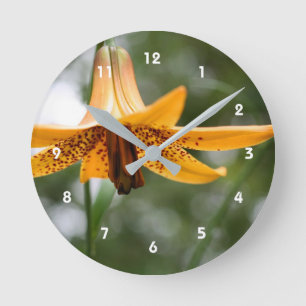 Vild Spoted Canadian Lily Flower Nature Rund Klocka
