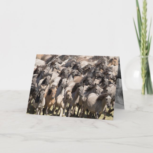 Vild Springa - Vild Horse Greeting Card Kort (Framsida)