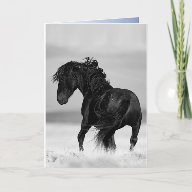 Vild Stallion Turns - Vild Horse Greeting Card Kort (Framsida)