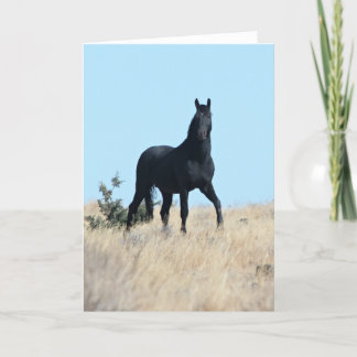 Vild Stallion Voodoo Greeting Card Tack Kort