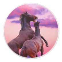 Vild Stallioner som föder upp keramiskt knopp