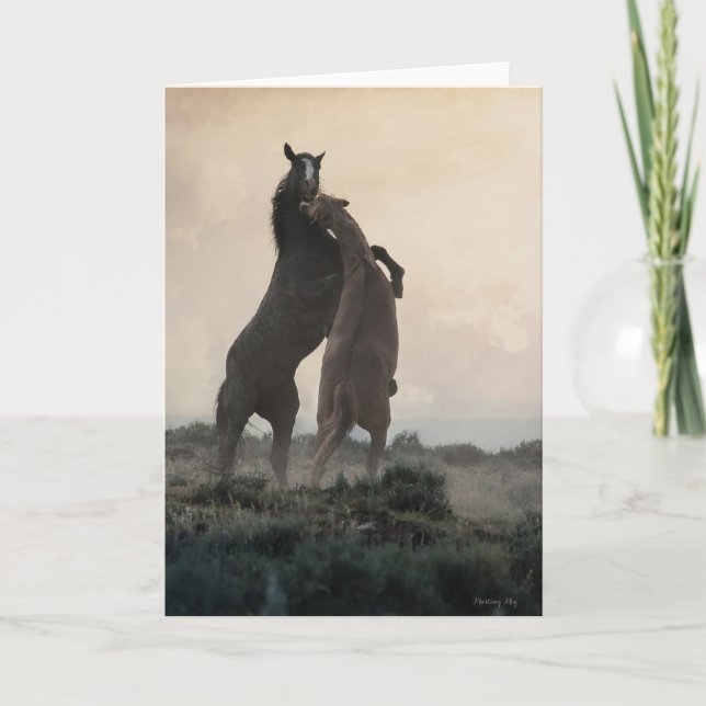 Vild Stallions anteckningskort (Framsida)