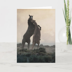 Vild Stallions anteckningskort