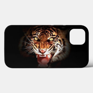 Vild Sumatran Tiger